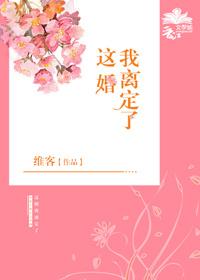 乔司宇夏梦这婚我离定了