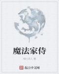 魔法师的家