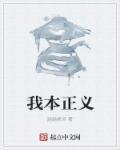 我本正义 何以魔道