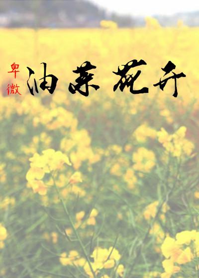 视频油菜花开