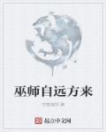 巫师来自远方