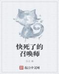 召唤师可以召唤什么