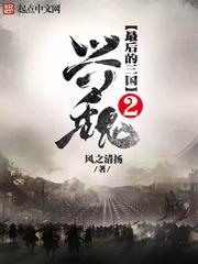 最后的三国2 兴魏无防盗