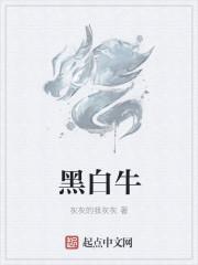 黑白牛百叶有什么区别