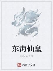 东海叶皇是什么