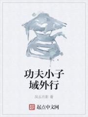 功夫小子视频