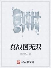 战国无双3z秘武