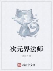 次元法师加点武器