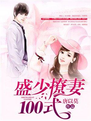 盛少宠妻100式免费阅读全文