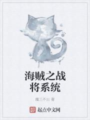 海贼王之战将系统