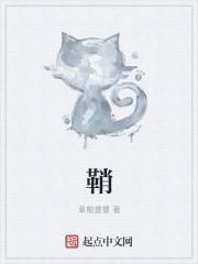 鞘翅可以附魔什么属性