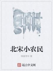 北宋小农民奋斗史