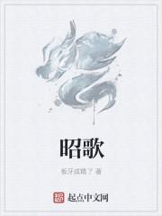 昭歌热水器怎么用