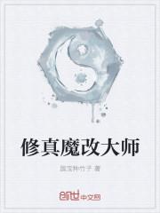 魔改大师TXT