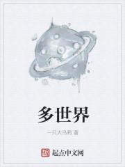 多世界插件怎么用