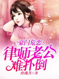 豪门危恋律师老公难扑倒