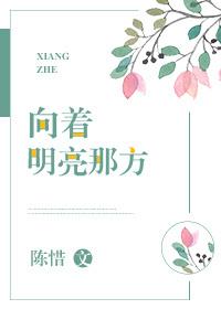 向着明亮那方有多少字