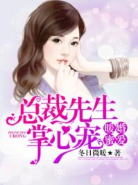 总裁先生掌心宠epub