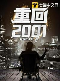 重回2001夜色迷人 趣笔阁