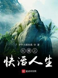 红楼之快活人生炉中火暖你我