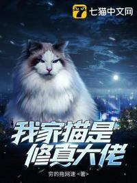 我家猫是修真大佬免费阅读