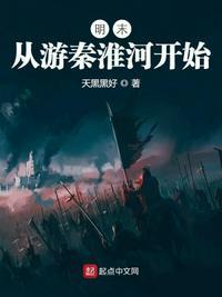 明末从游秦淮河开始TXT