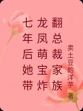 七年后她带着儿子回国