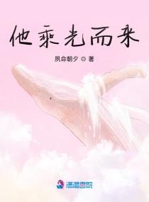 踏光而来 下一句