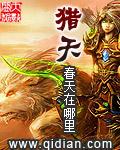 猎天使魔女3有中文吗