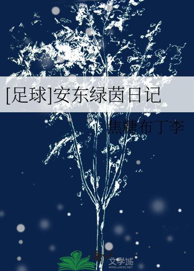 足球安东绿茵日记格格党