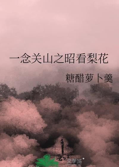 一念关山重昭