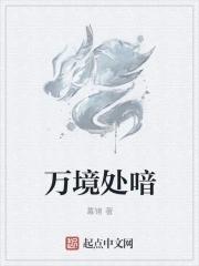 万境的含义是什么意思