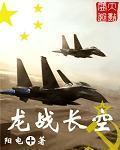 龙战长空txt