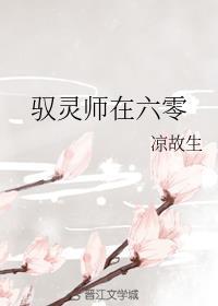 驭灵师在六零by凉故生