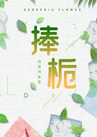 捧栀封栀