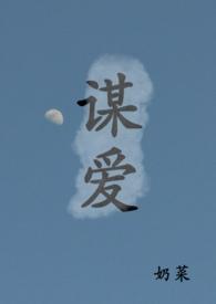 谋爱(古言) / 奶菜