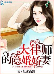 大律师的隐婚妻TXT