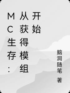 mc生存必备模组