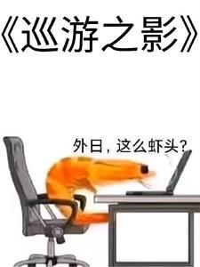 巡游 意思