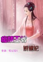 痴情王爷魔幻妃 紫蝶