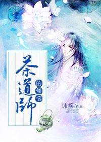 茶艺师讲茶道视频