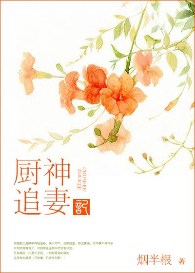 厨神追妻记百度