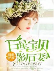 巨星宝贝影后妻完整版