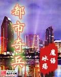 都市奇兵txt80